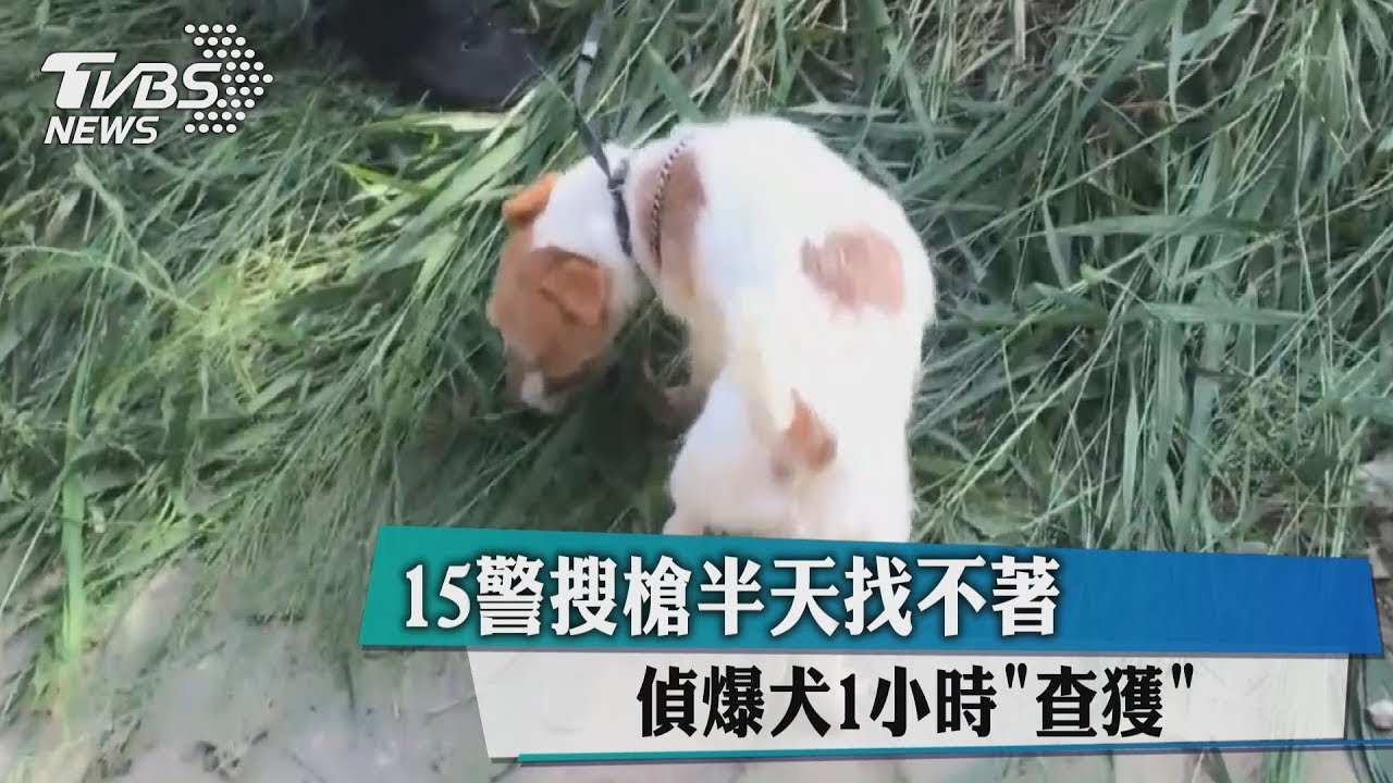 15警搜槍半天找不著 偵爆犬1小時「查獲」