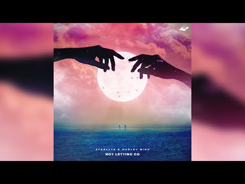 starlyte & harley bird - not letting go (official lyric video)