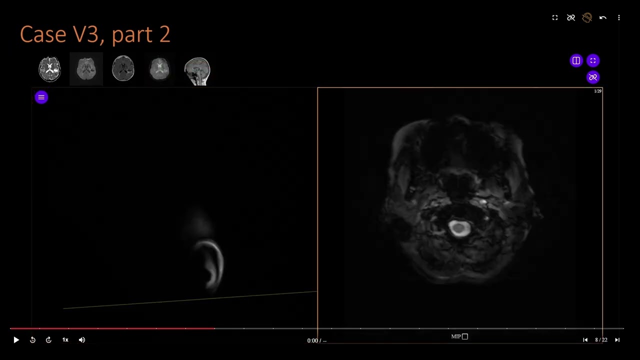 RadPPTX Viewer Tutorial