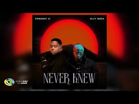 Freddy K and Djy Biza - Never Knew (Official Audio)