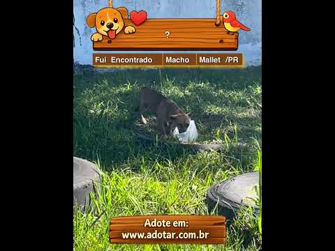 Vídeo de ?