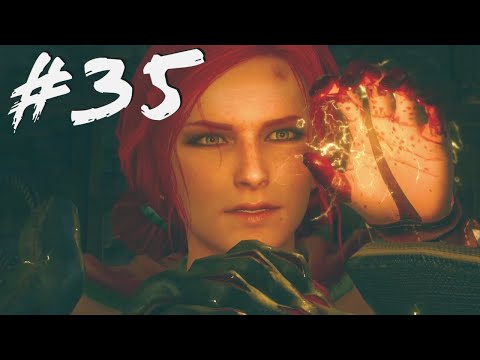 The Witcher 3 Wild Hunt Walkthrough - Count Reuven's Treasure - Menge - Part 35