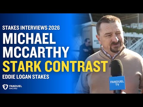Michael McCarthy on 500 Wins & Eddie Logan Stakes Winner STARK CONTRAST