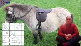 Think You're in for an Easy Ride? Think Again!