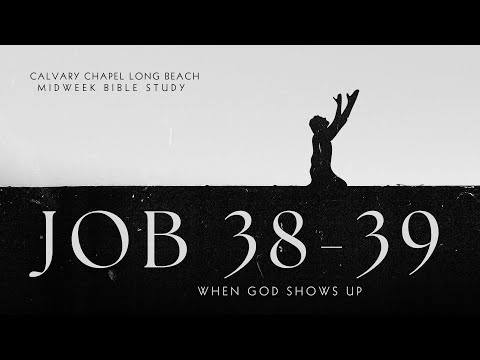 When God Shows Up -  Job 38-39