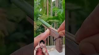 Download lagu Senjata dari bambu. Cara, buat Senjata, Bagaimana, tutorial, senjata mainan bambu, #diy #shortvideo mp3 Download lagu Senjata dari bambu. Cara, buat Senjata, Bagaimana, tutorial, senjata mainan bambu, #diy #shortvideo mp3