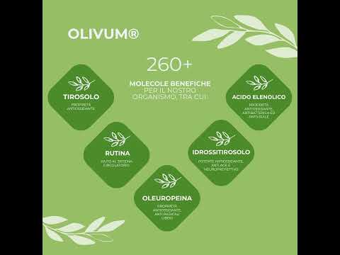 OLIVUM