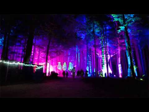 Merlin's apprentice - Live at cybertech 2014