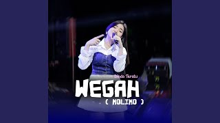 Download lagu Wegah (Molimo) mp3