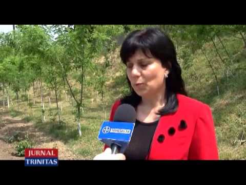 Conferință în Protoieria Târgu Bujor, județul Galați