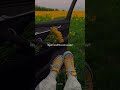 Runaway Aurora Aesthetic Slowed Lyrics Whatsapp Status Runaway Aurora