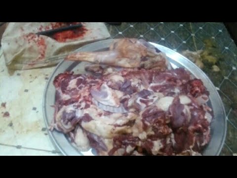 كم يزن متوسط الأغنام الوزن الصافي لكل لحم Farmer