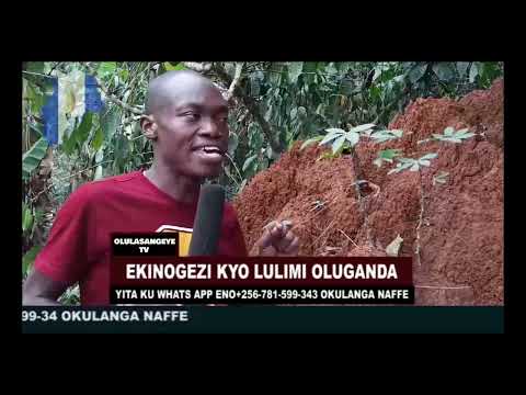 "ENKUYEGE ZIKOLAGANA --ZIKOLERA WAMU --FFE ABANTU ZITUSOOMOOZA!" #EKINOGEZI.