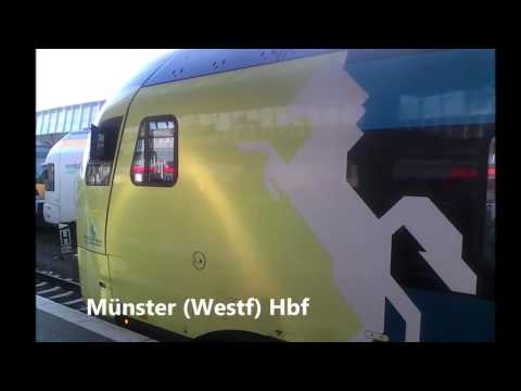 [WFB] Ansagen RB66 Lengerich Münster