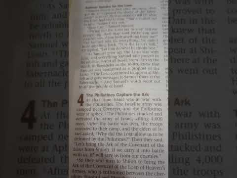 Daily Bible Reading: 1st Samuel 2:22 - 4:22 05/08/2023 🏵️🌴🌈