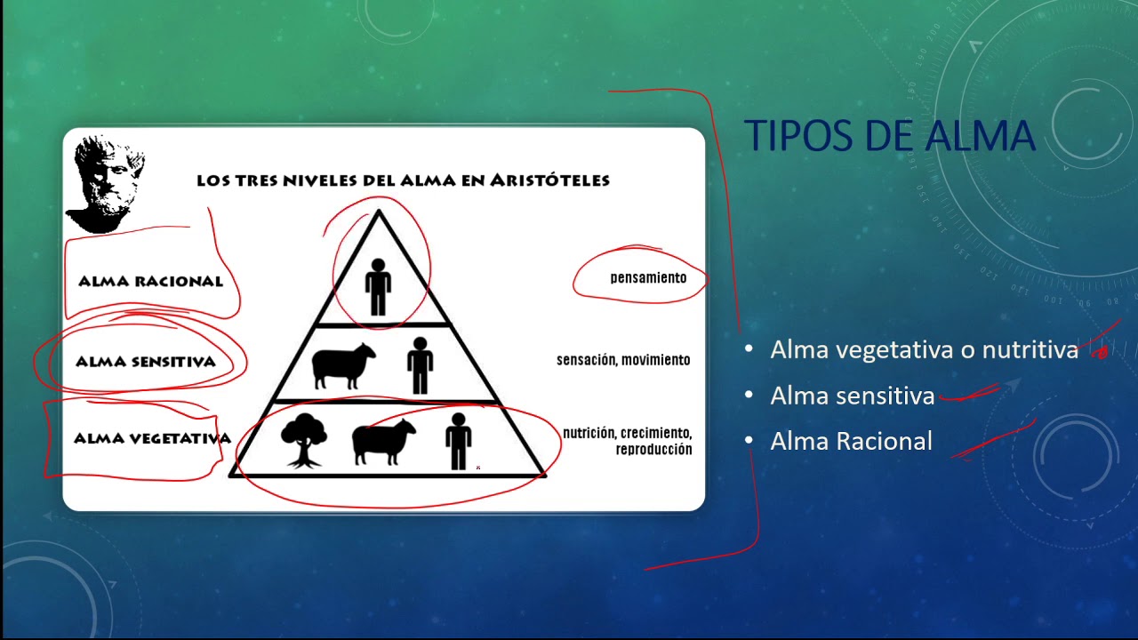 Aristóteles y la teoría del alma. Simple