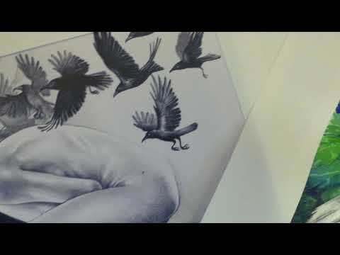 Thumbnail of 52 Crows overview