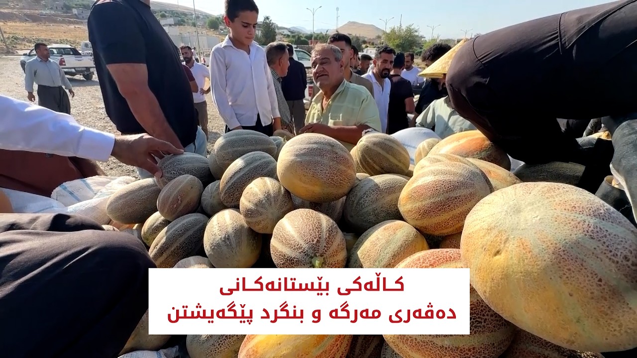 ڤیدیۆ | کاڵەکی بێستانەکانی دەڤەری مەرگە و بنگرد پێگەیشتن