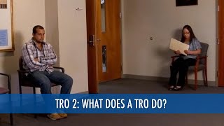 What Does a Temporary Restraining Order Do? (TRO 2/4)