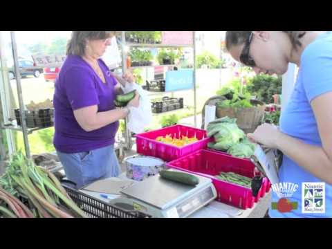 download lagu mp3 mp4 East Lyme Farmers Market, download lagu East Lyme Farmers Market gratis, unduh video klip East Lyme Farmers Market
