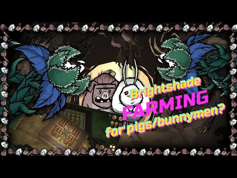 Brightshades used as pig/bunnymen farm?
