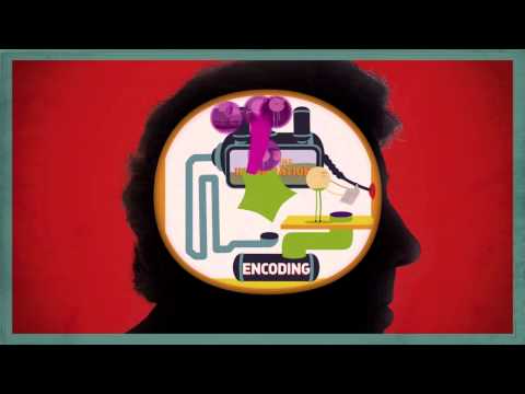 あなたの記憶はどのように機能していますか? (How Does Your Memory Work?)