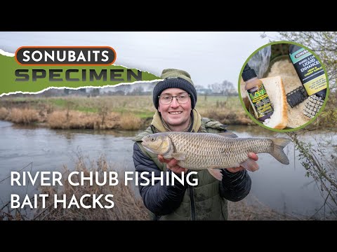 Catch More River Chub! | Harry Pardoe