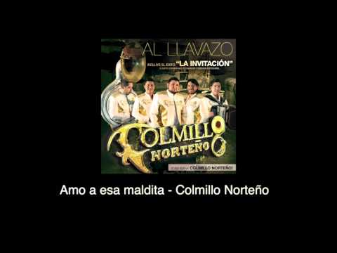 Video Amo A Esta Maldita (Audio) de Colmillo Norteño