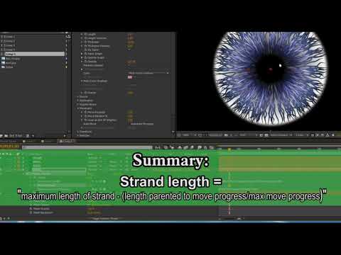 All About Eyes, Part II: Iris Dilation