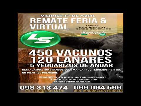 27° "UNIDOS POR LA AMISTAD" Arevalo (Cerro Largo) 80 Kms