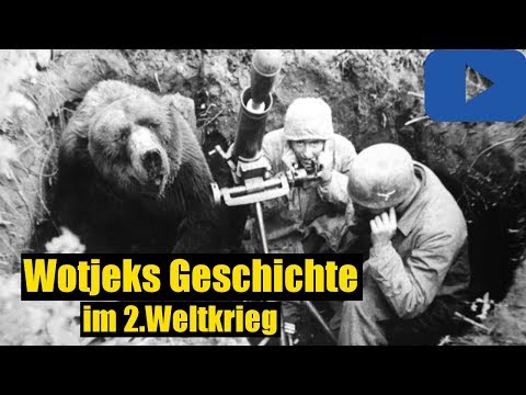 Die Herzzerreißende Geschichte von Wojtek, dem Soldatenbären -BrosTV