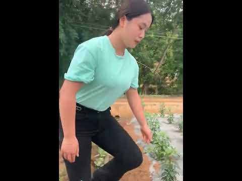 hard work #shorts 2021