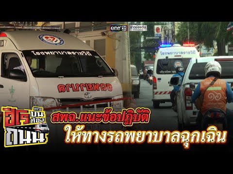 สมาชิก 14 ซม. วิธีการเพิ่ม รากสมุนไพรเพื่อความแข็งแรง