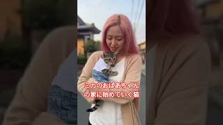 ミカのおばあちゃんの家に始めていく猫