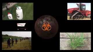 World Break Down - I say NO! (to MONSANTO)