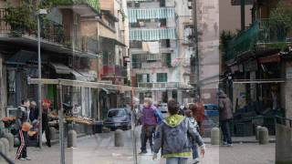 Dreaming Trees /Metheny & Musella