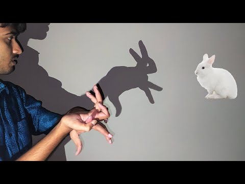 How to Make Shadow Puppets With Your Hand   Very Interesting Ideas  Part  3 Shadow Animals