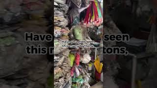 VIET NAM TRIM MARKET 1 #shorts
