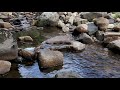 5min Relaxing Water Flowing Sound - River Nature Sounds Short Meditation W/O Music - Running Stream