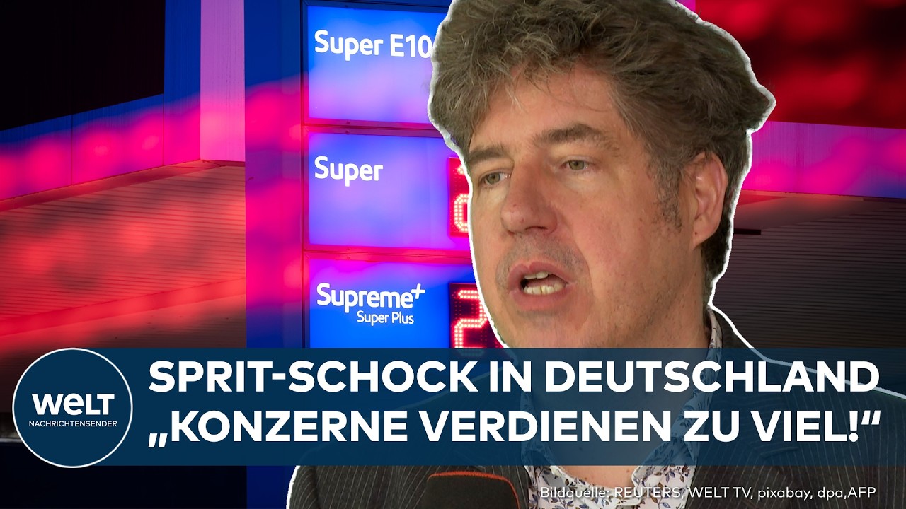 ENERGIE-TASKFORCE: "Das war keine kluge Idee!" | Michael Kellner im WELT-Gespräch