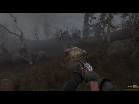 S T A L K E R   Clear Sky: pseudogiant no damage on master; demon´s den