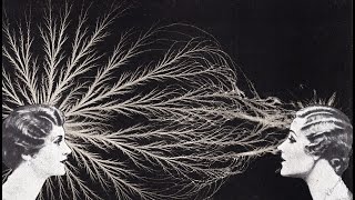 Activate Your Magnetism Sacred Soul Alignment™