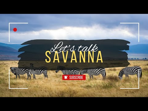 SAVANNA BIOME | 🌳🐘