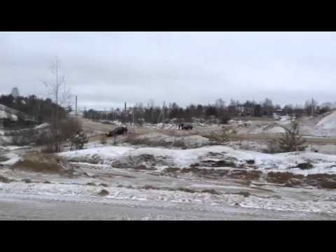 Ралли Ростов 2014 #65 Павлов/Лебедик