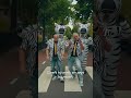 Lawineboys - Zebra (Teaser) #shorts