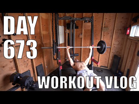 Sarkis Fitness - Workout Vlog Day 673