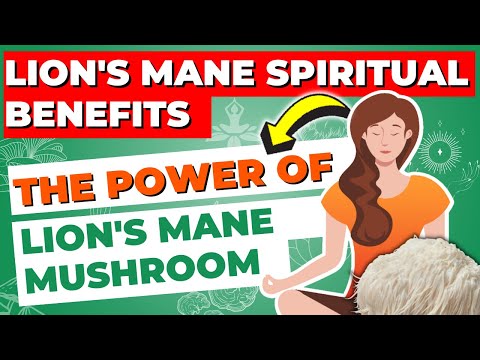 Lion’s Mane Spiritual Benefits: The Power of Lion’s Mane Mushroom