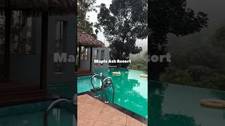 Download lagu Maple Ash resort, Wayanad #viral #shorts #wayanad #kerala #ytshorts #maple #resort mp3 Download lagu Maple Ash resort, Wayanad #viral #shorts #wayanad #kerala #ytshorts #maple #resort mp3