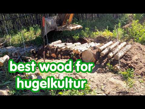 Hügelkultur: Best Wood Choices for Optimal Results