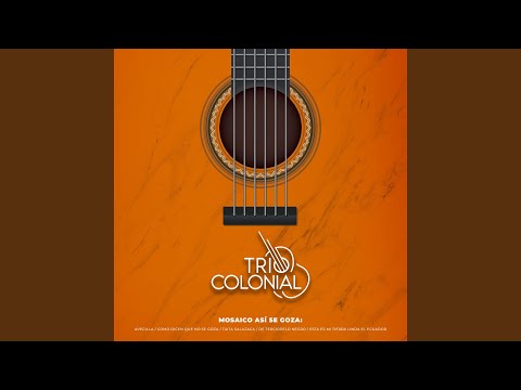 Mosaico Así Se Goza: Avecilla / Como Dicen Que No Se Goza / Taita Salazaca / De Terciopelo...